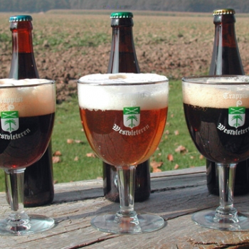 Westvleteren Trappist, best beer of the world
