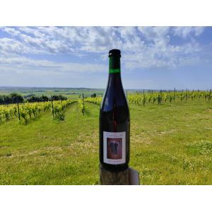 Cantillon Saint-Lamvinus 75cl