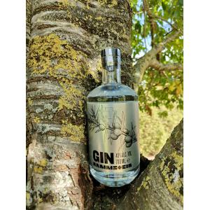 Rammstein Gin 70cl