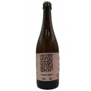 De Feniks / Mikkeller Cross ...